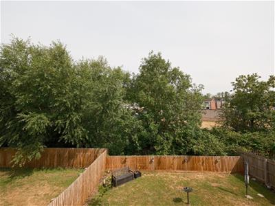 Picture 7